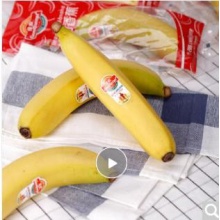 佳农 厄瓜多尔进口香蕉 1kg（约5-6根） 单根装 新鲜水果