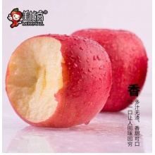 美域高洛川苹果24枚智慧果75mm约8斤陕西红富士苹果 不打蜡新鲜苹果