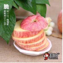 美域高洛川苹果24枚智慧果75mm约8斤陕西红富士苹果 不打蜡新鲜苹果