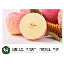 【栖霞馆】 烟台苹果栖霞红富士新鲜水果2.5kg果径约80mm（8-12个左右）山东特产